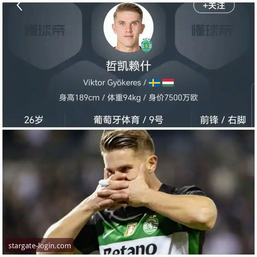 如何在星空平台同步追踪哲凯赖什的20球里程碑？这些数据你看懂了吗？