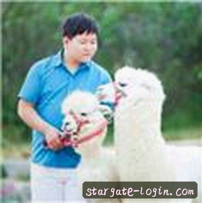 乐乐